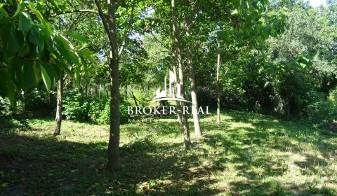 Sale Land – for living, Land – for living, Gönc, Hungary