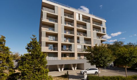 Rent One bedroom apartment, One bedroom apartment, Inovecká, Košice - 