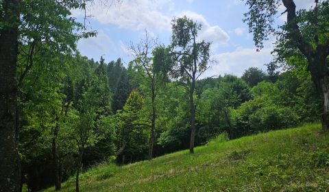 Sale Land – for living, Land – for living, Malkovska, Prešov, Slovakia
