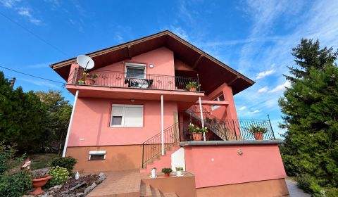 Sale Family house, Family house, Topoľčany, Slovakia