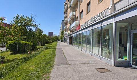 Rent Commercial premises, Commercial premises, Račianska 99, Bratislav