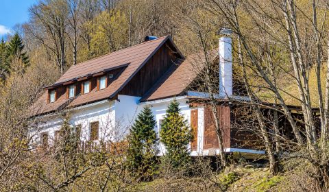 Sale Cottage, Cottage, Banská Štiavnica, Slovakia