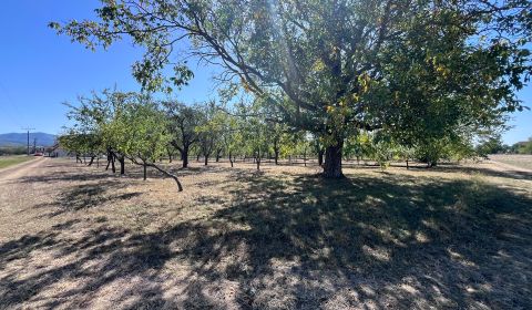 Sale Land – for living, Land – for living, Dulov, Ilava, Slovakia