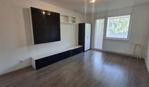Rent One bedroom apartment, One bedroom apartment, Thurzova, Martin, S