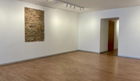 Rent Commercial premises, Commercial premises, Panská, Bratislava - St