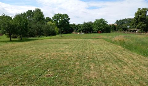 Sale Land – for living, Land – for living, Zlaté Moravce, Slovakia