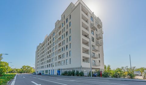 Sale One bedroom apartment, One bedroom apartment, Labutia, Bratislava