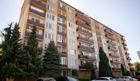 Sale One bedroom apartment, One bedroom apartment, Centrum II., Ilava,