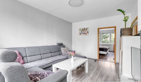 Sale One bedroom apartment, One bedroom apartment, Jiráskova, Trnava, 