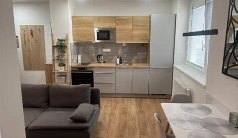Rent One bedroom apartment, One bedroom apartment, WEST, Galanta, Slov