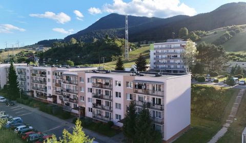 Sale Two bedroom apartment, Two bedroom apartment, Papiernícka , Ružom