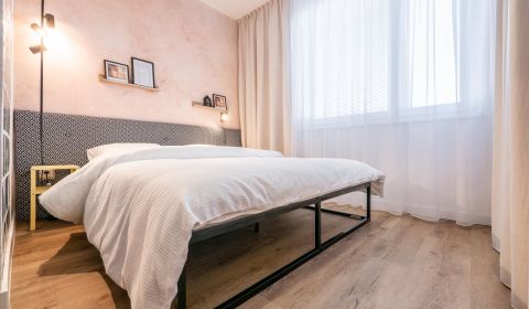 Rent One bedroom apartment, One bedroom apartment, Škultétyho, Nitra, 