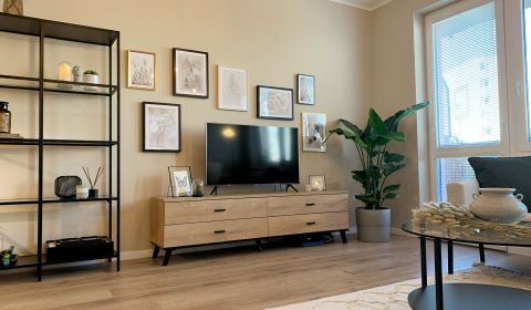 Sale One bedroom apartment, One bedroom apartment, Vyšehradská, Bratis