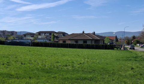 Sale Land – for living, Land – for living, Šelpice, Trnava, Slovakia