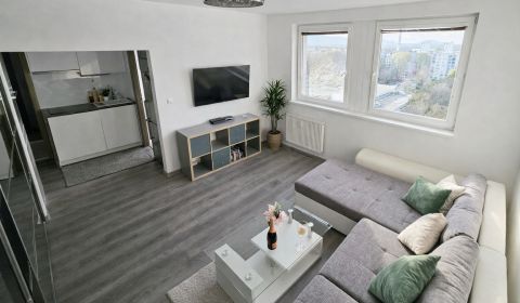 Rent One bedroom apartment, One bedroom apartment, Fedinova, Bratislav