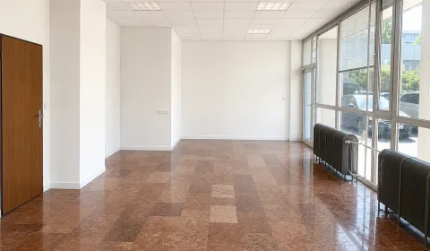 Rent Commercial premises, Commercial premises, Drieňová, Bratislava - 