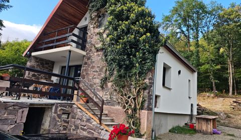 Sale Cottage, Cottage, Kamenec, Michalovce, Slovakia