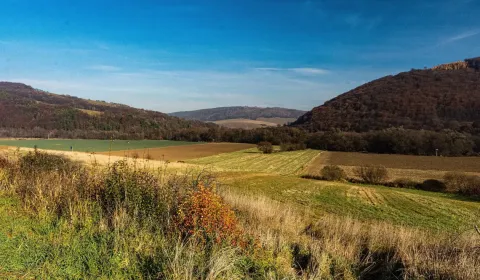 Sale Agrarian and forest land, Humenné, Slovakia