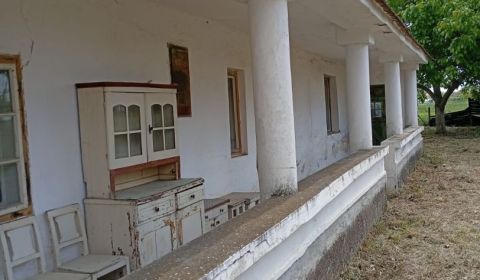 Sale Family house, Family house, neuvedená, Dunajská Streda, Slovakia