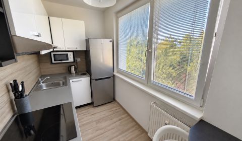 Rent One bedroom apartment, One bedroom apartment, Pod hájkom, Skalica