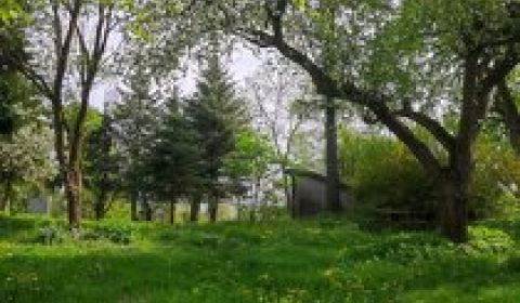 Sale Cottage, Cottage, Trnava, Slovakia