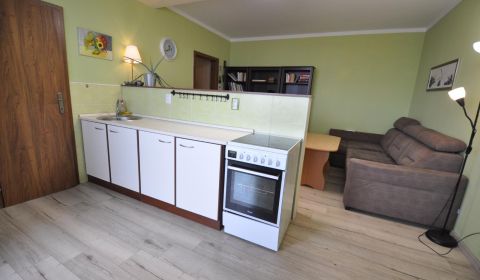 Sale One bedroom apartment, One bedroom apartment, Mánesovo nám., Brat