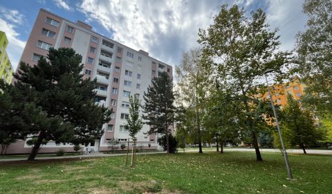 Rent Studio, Studio, E. F. Scherera, Piešťany, Slovakia