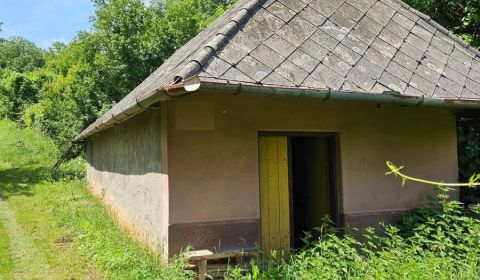 Sale Family house, Family house, Kamenica nad Hronom, Nové Zámky, Slov