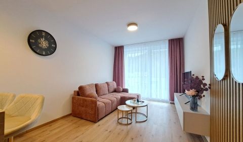 Rent One bedroom apartment, One bedroom apartment, Jilemnického, Popra