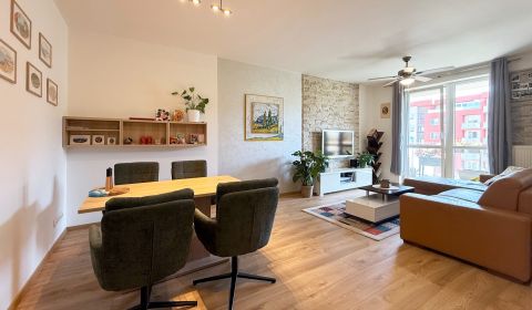Rent One bedroom apartment, One bedroom apartment, Bosákova, Bratislav