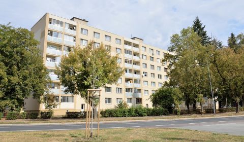 Sale One bedroom apartment, One bedroom apartment, Jozefa Murgaša, Mic