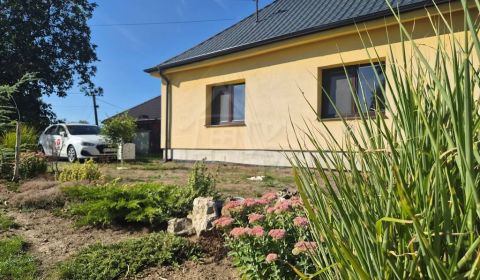 Sale Family house, Family house, Nitra, Slovakia