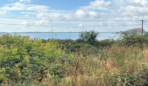 Sale Land – for living, Land – for living, Michalovce, Slovakia