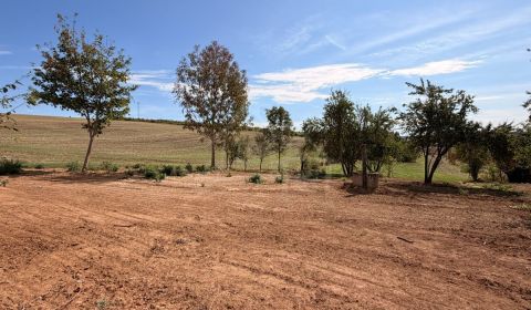 Sale Land – for living, Land – for living, Nové Zámky, Slovakia