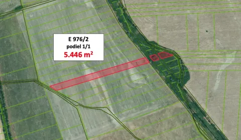 Sale Agrarian and forest land, Michalovce, Slovakia