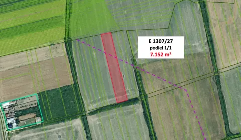 Sale Agrarian and forest land, Michalovce, Slovakia