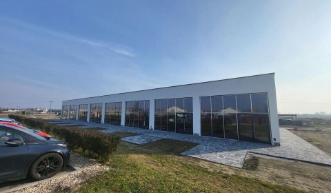 Sale Commercial premises, Commercial premises, Podjavorinskej, Senec, 