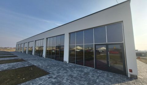 Sale Commercial premises, Commercial premises, Podjavorinskej, Senec, 