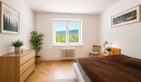 Sale Two bedroom apartment, Two bedroom apartment, Mierová, Čadca, Slo