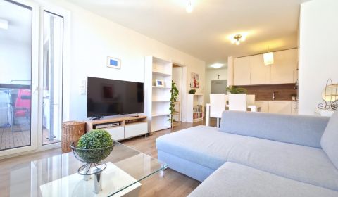 Rent One bedroom apartment, One bedroom apartment, Malokrasňanská, Bra