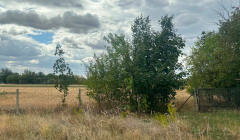 Sale Land – for living, Land – for living, Rastislavice, Nové Zámky, S