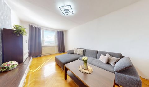 Sale One bedroom apartment, One bedroom apartment, Podjavorinskej, Top