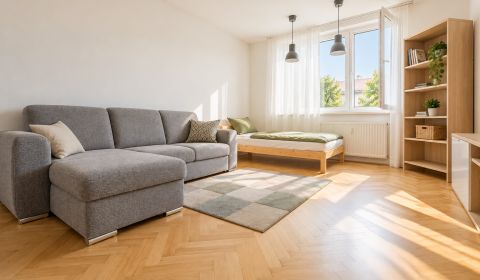 Furnished 1-bedroom apartment with 2 balconies
