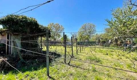 Sale Gardens, Gardens, Komárno, Slovakia