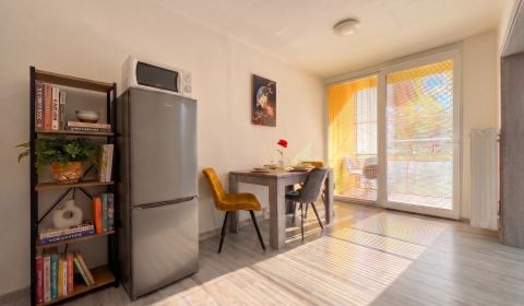 Rent One bedroom apartment, One bedroom apartment, Považská, Trenčín, 
