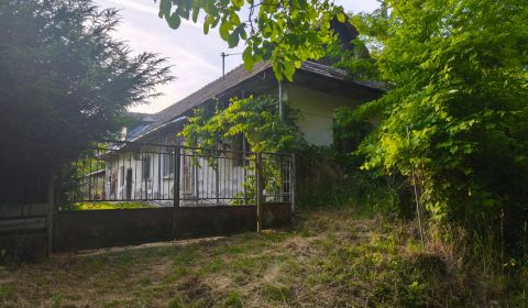 Sale Family house, Family house, Veľký Krtíš, Slovakia