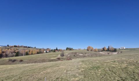 Sale Land – for living, Land – for living, Detva, Slovakia