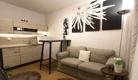 Rent Studio, Studio, Veľkonecpalská, Prievidza, Slovakia