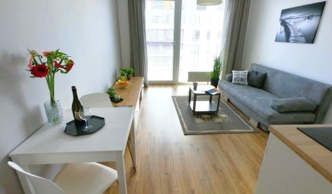 Rent Studio, Studio, Zuzany Chalupovej, Bratislava - Petržalka, Slovak