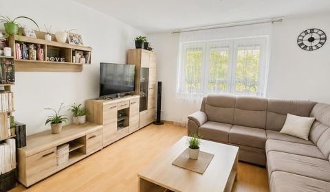 Sale One bedroom apartment, One bedroom apartment, Jána Hajdóczyho, Tr